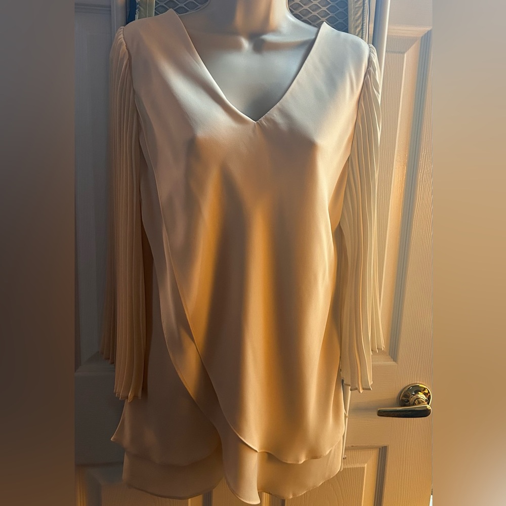 Pleated Sleeve Top